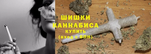 индика Володарск