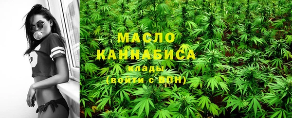 индика Володарск