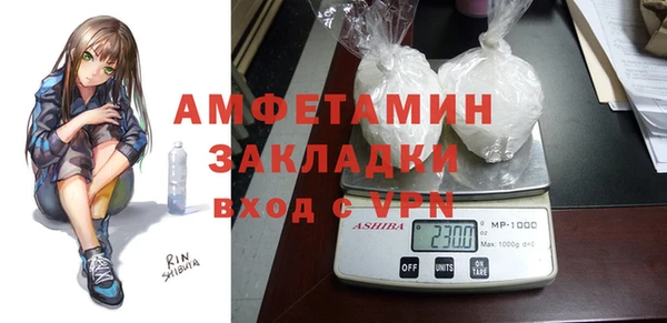 индика Володарск