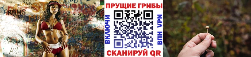 где найти наркотики  Глазов  Псилоцибиновые грибы Magic Shrooms 