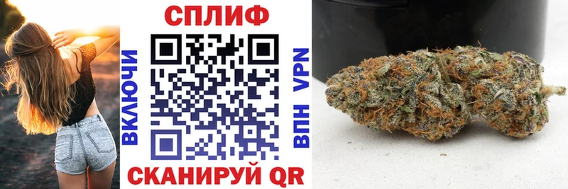 Бошки Шишки сатива  как найти закладки  Глазов 